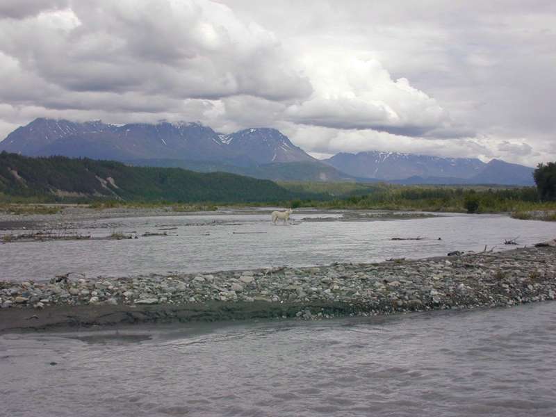 Alaskan chugach mountains and river