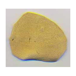 Antiminsion / Communion Sponge