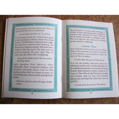 Canon to the Lord for a Sick Child - Image 2